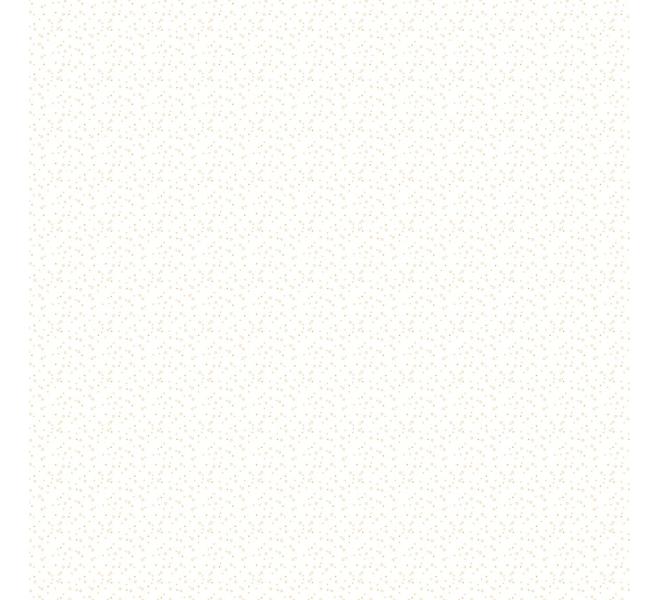 Stack 15 basic foil papers 12x12" Outdoors by Pili Sallent