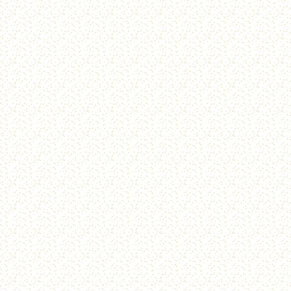 Stack 15 basic foil papers 12x12" Outdoors by Pili Sallent