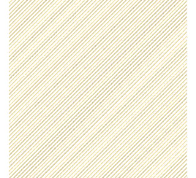 Stack 15 basic foil papers 12x12" Outdoors by Pili Sallent