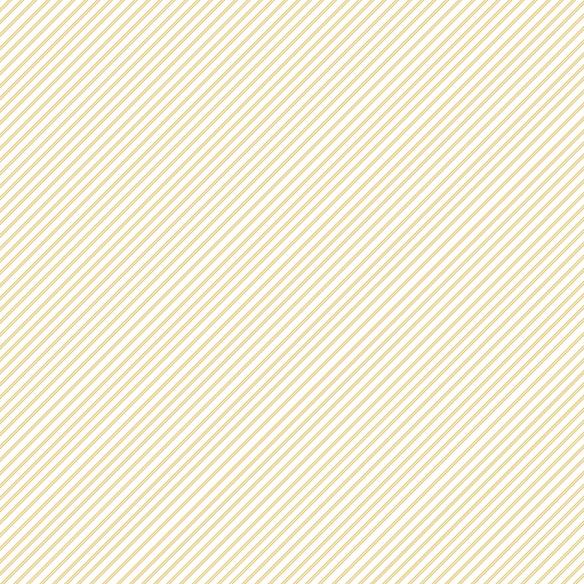 Stack 15 basic foil papers 12x12" Outdoors by Pili Sallent