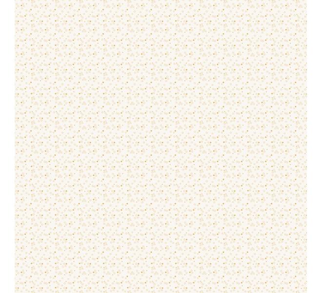 Stack 15 basic foil papers 12x12" Outdoors by Pili Sallent