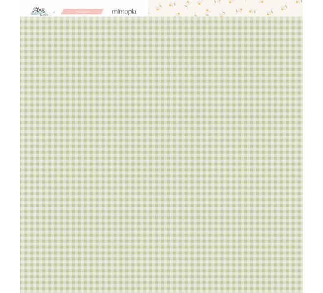 Stack 12"x12" Flying - Travel Stories Mintopia