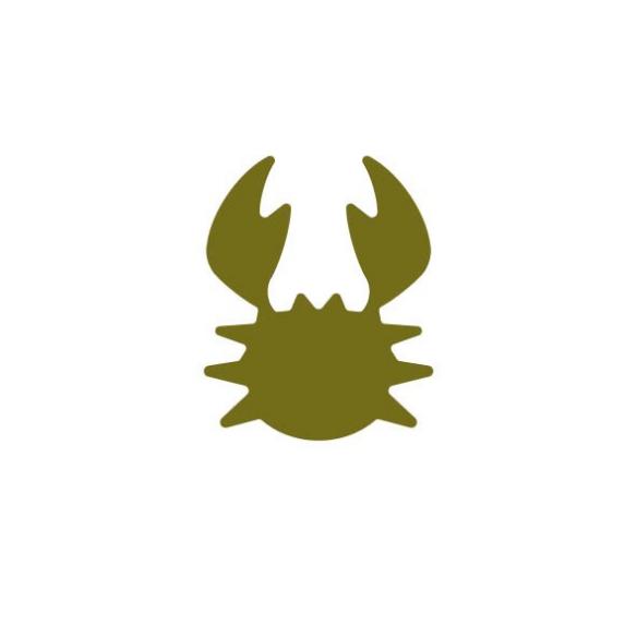 Mini Perforadora Cancer