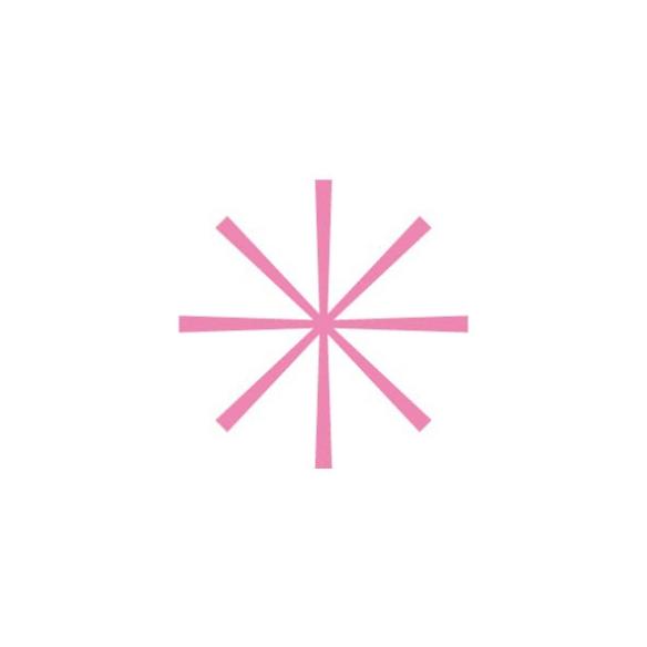 Perforadora Pequena Asterisco