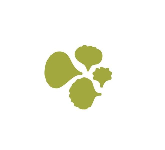 Gran Perforadora petalos1