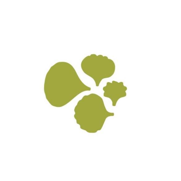 Gran Perforadora petalos1